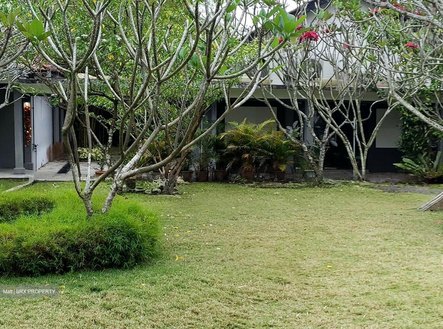 Belmont Road (D10), Detached #504236861